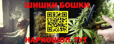 тгк Камышлов