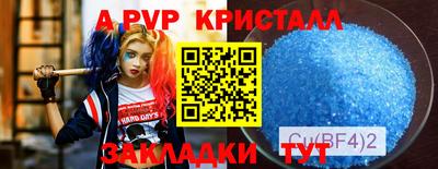 тгк Камышлов